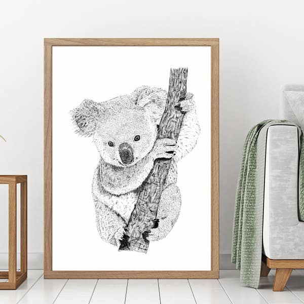 Plakater med dyr - Koala
