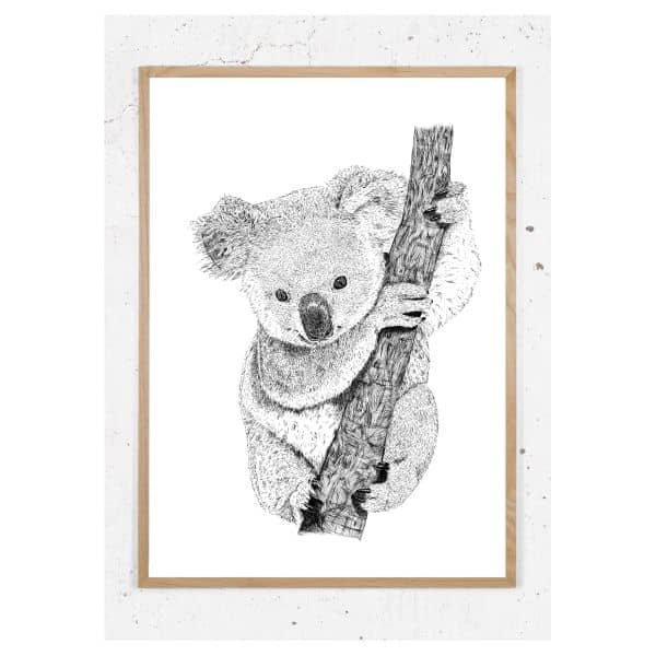 Plakat med koala