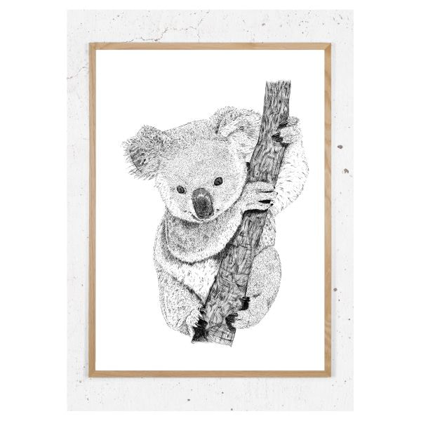 Plakat med koala