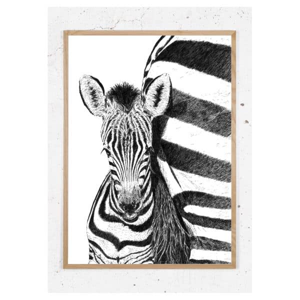 Plakat med zebra