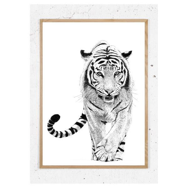 Plakat med tiger