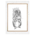 Plakat med egern i sort hvid