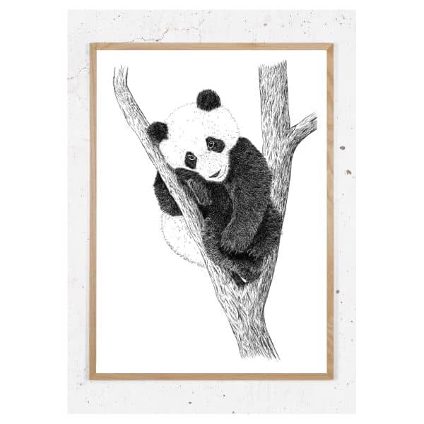 Plakat med panda
