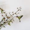 Wildlife Garden deco bird - kolibrier