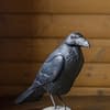 Wildlife Garden DecoBird - ravn