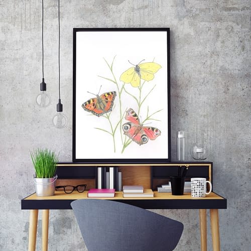 Plakat med danske sommerfugle
