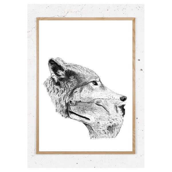 Plakat med ulve