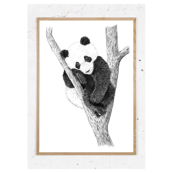Plakat med panda