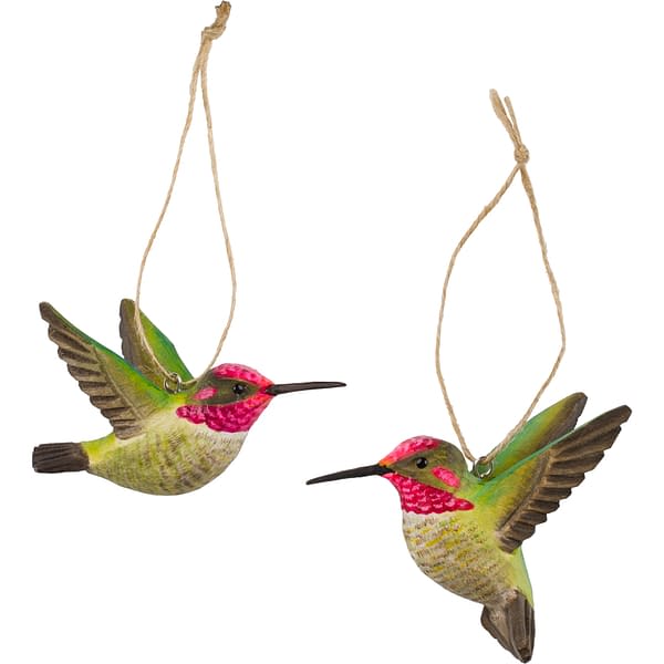 Wildlife Garden DecoBird - Annas kolibrier