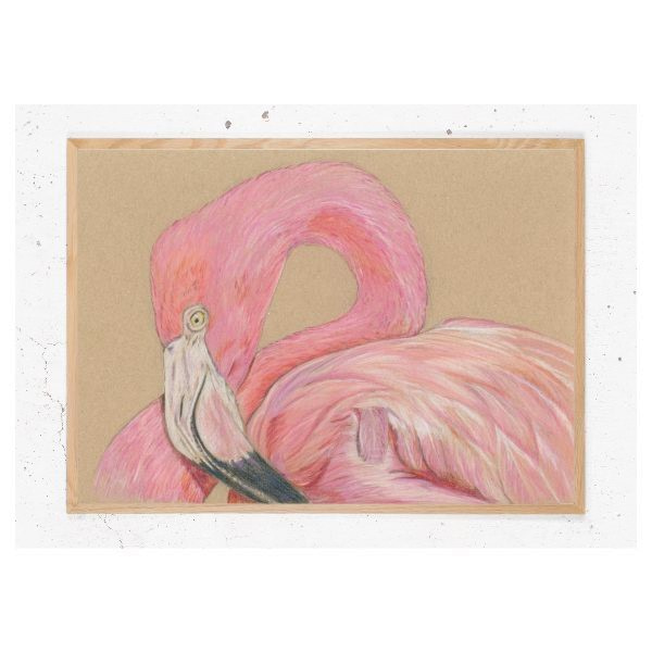 Plakat med flamingo