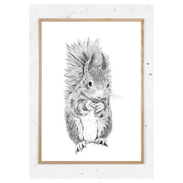 Plakat med egern i sort hvid
